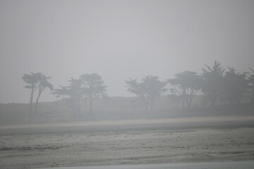 Plage sous la Brume