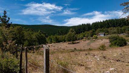 Fototapeta premium fence on the hill in Southern Chile 