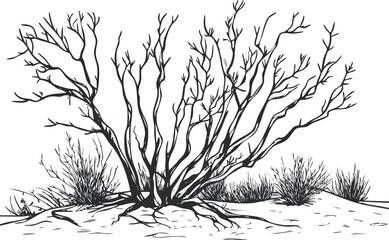 Obraz premium Black and white illustration of a leafless desert shrub with dry branches and sparse ground vegetation