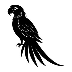 Obraz premium Macaw Silhouette vector