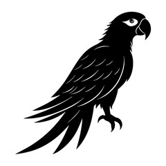 Obraz premium Macaw Silhouette vector