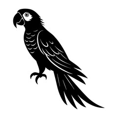 Obraz premium Macaw Silhouette vector