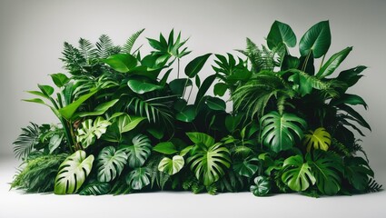 Obraz premium Green tropical plant and floral bush arrangement on white background