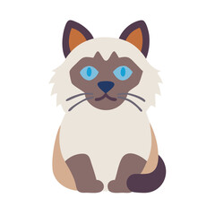 Siamese cat sitting with bright blue eyes isolated on black