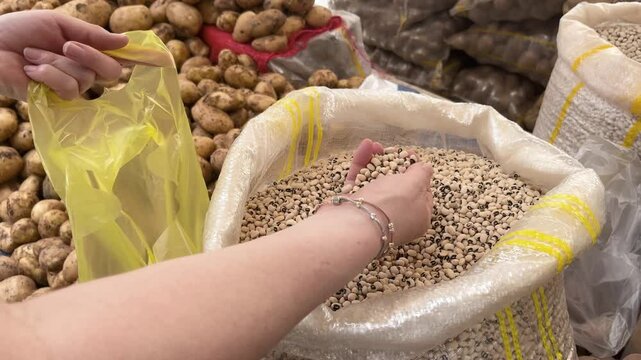 Woman picks kidney beans from a sack and puts them in a bag at the farmers' market. Market shopping.