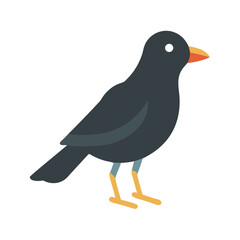 Minimalist dark gray bird with orange beak on black background
