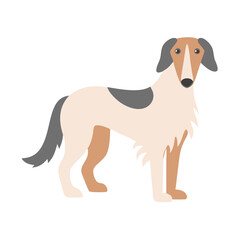 Stylized Borzoi dog image, flat design, black background