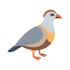 Flat Vector Illustration of a Partridge against a Black Background