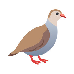 Illustration of a partridge against a solid dark background
