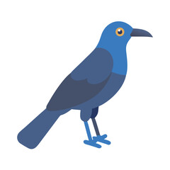 Modern Flat Vector Illustration of a Blue Grackle Bird