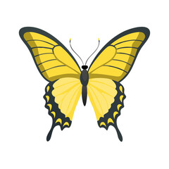 Stylized yellow butterfly isolated on black background illustration