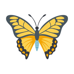 Yellow and Gray Butterfly Illustration on Black Background Graphic