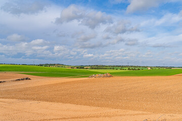 Obraz premium Wide view of cultivated farmland in central Iberian Peninsula during spring, with green and brown fields under a partly cloudy sky.