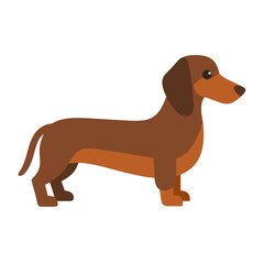 Flat vector illustration of a dachshund dog on black background