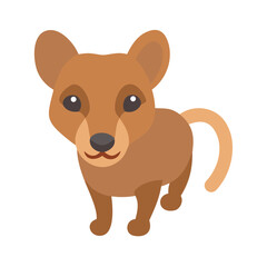 Stylized Dingo Illustration on a Black Background