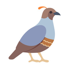 Flat vector illustration of a quail on black background