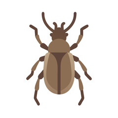 Brown beetle with antennae on a black background flat