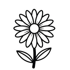Beautiful Flower Minimalist Floral Illustration