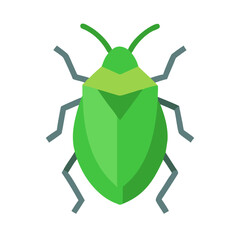 Simple flat illustration of a green shield bug