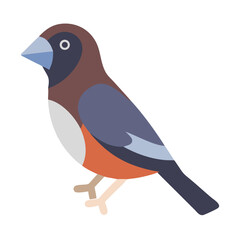Flat Illustration of a Bird on a Black Background