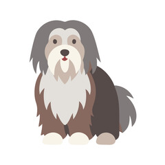 Bearded Collie style dog with flat vector illustration