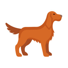 Flat vector illustration of a golden retriever dog breed