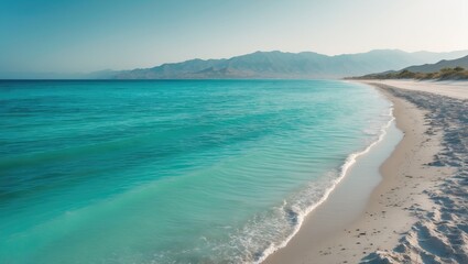 Fototapeta premium Turquoise ocean and white sandy beach