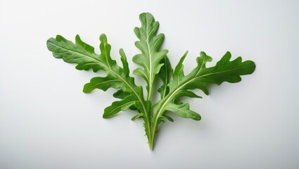 Vegetarian salad featuring arugula, beet sprouts, and herbs on clean background