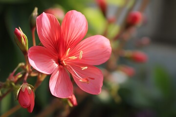 Fototapeta premium Stylish Flower Symbolizing Passive Income and Wealth Growth 