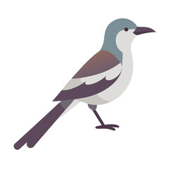 Flat vector illustration of a bird on black background