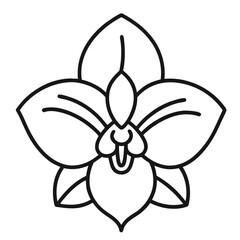 Orchid flower coloring pages. Orchid flower outline