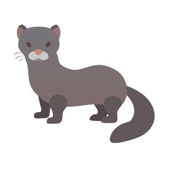 Flat design mink illustration against black background stock image