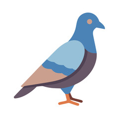 Isolated flat vector illustration of a pigeon standing calmly