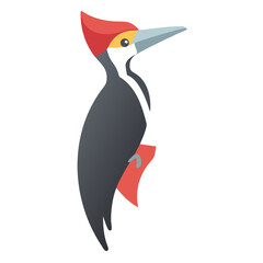 Vector illustration of a pileated woodpecker on black background