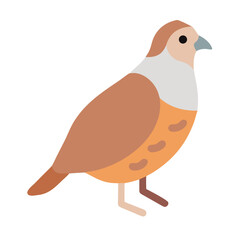 Minimalist vector illustration of a quail with earthy tones