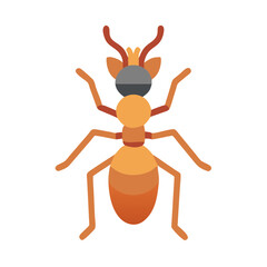 Flat design illustration of an orange ant on black