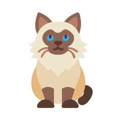 Stylized ragdoll cat illustration with a minimalist aesthetic