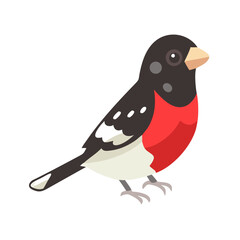 Vector Illustration of a Rose Breasted Grosbeak on Black
