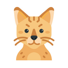 Illustration of a cute, stylized orange tabby cat portrait