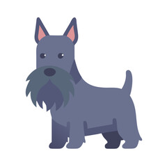 Flat vector illustration of a Scottish Terrier dog