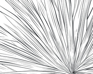 Fototapeta premium Abstract black and white radial lines creating a dynamic linear pattern background design.