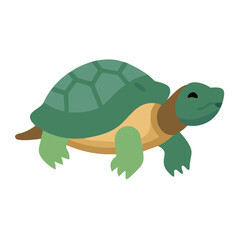 Illustration of a green turtle with black background image
