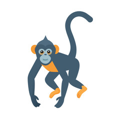 Cute monkey with long tail on black background