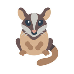 Cartoon possum illustration with flat design and cute features