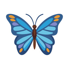 Blue butterfly illustration on black background with colorful accents