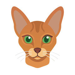 Flat illustration of Abyssinian cat head with green eyes