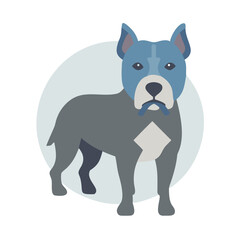 Stylized pitbull dog illustration against a light gray background