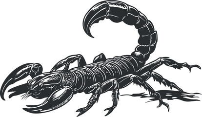Black and white vector illustration of a detailed scorpion with claws and curved stinger tail isolated on white background