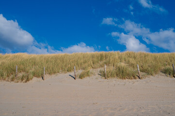 Wooden Fence Protecting Dunes on a Peaceful Beach Day