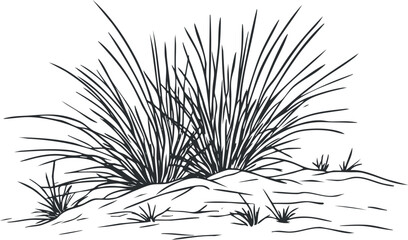 Obraz premium Black and white line drawing of grass and small bushes growing on soil in a natural outdoor environment